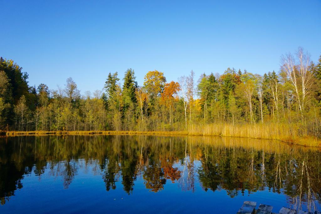 Namelis Salia Vynuogyno Budziliai Exterior foto